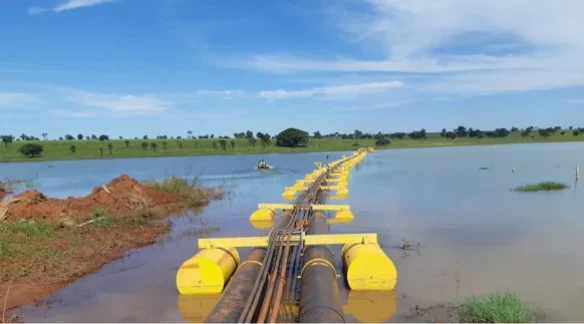 overlay (5) overlay (5)